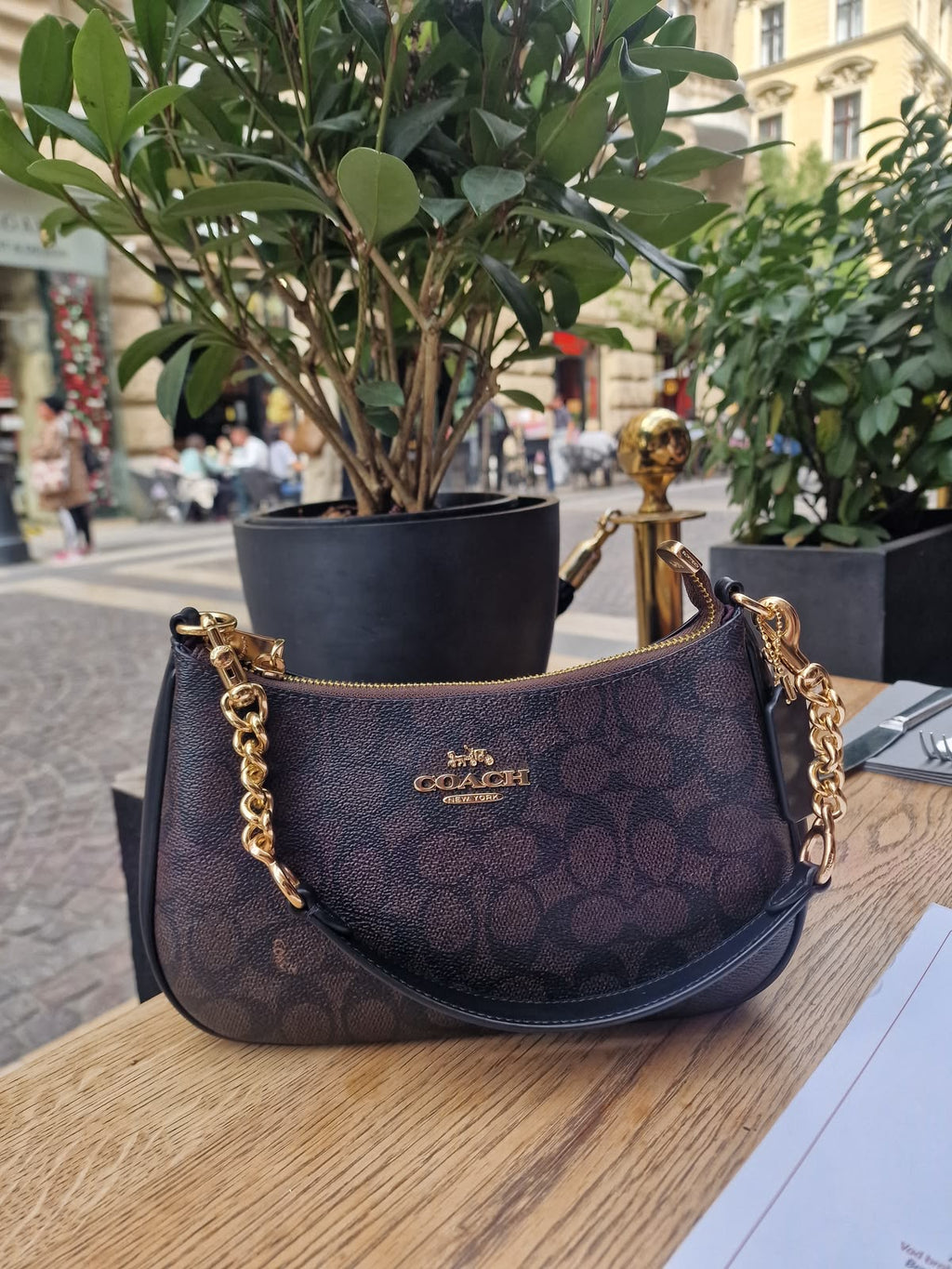 Coach Teri Shoulder Bag - Brown