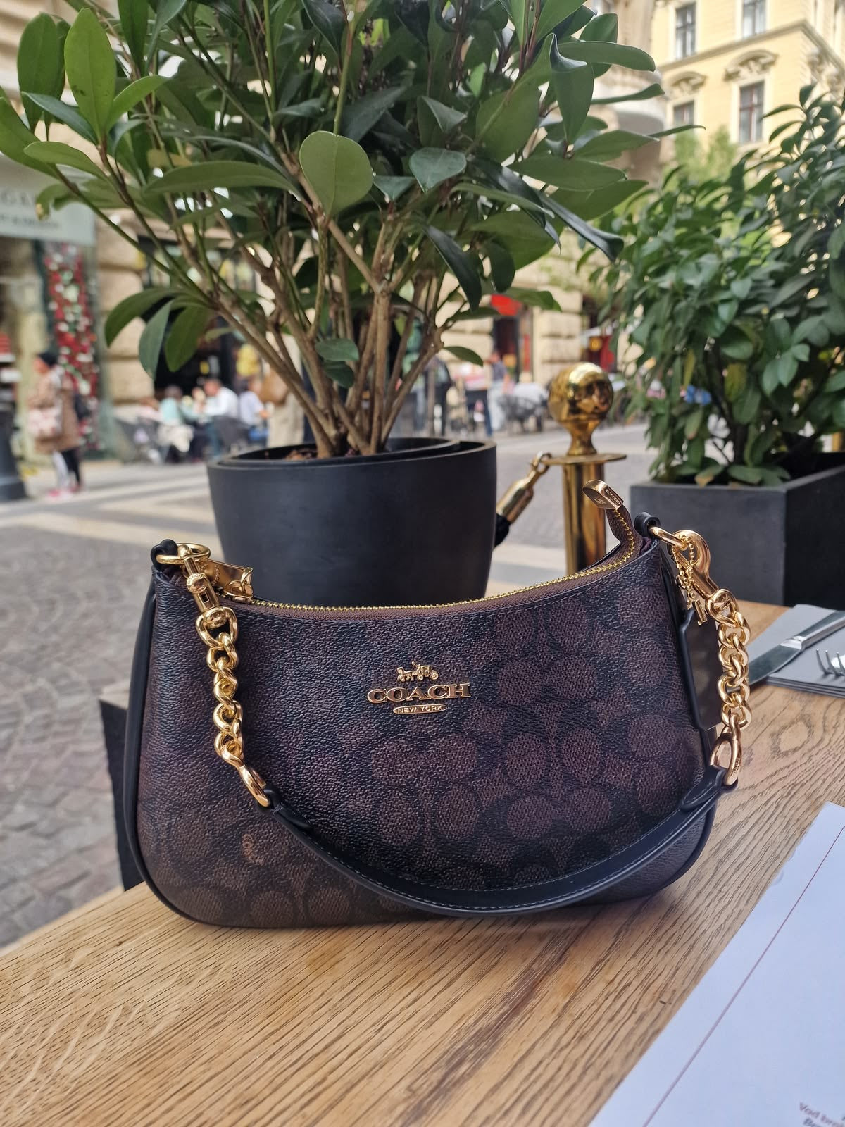 Coach Teri Shoulder Bag - Brown